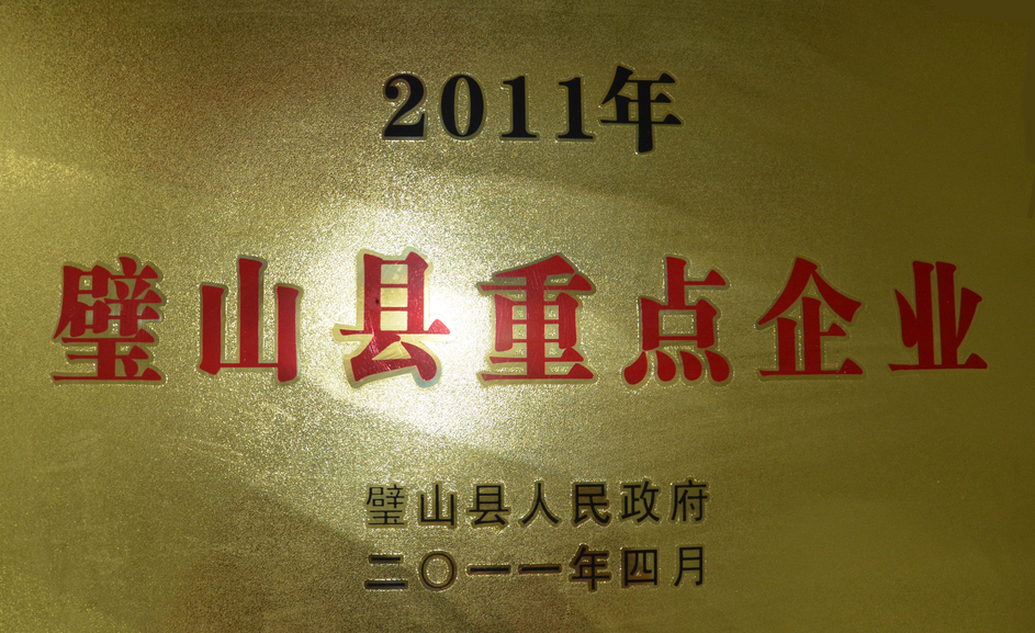 2011年璧山重点企业.png